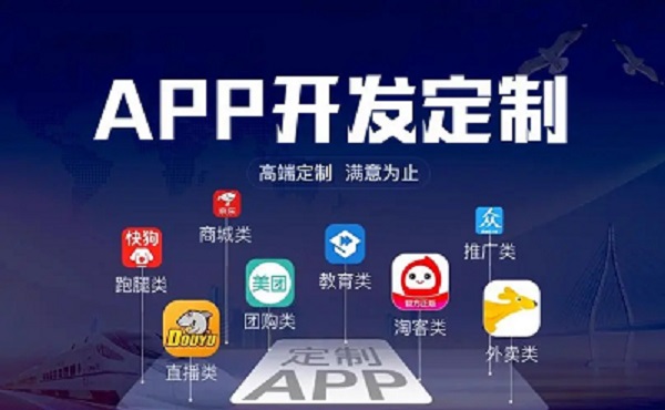 定制化App开发