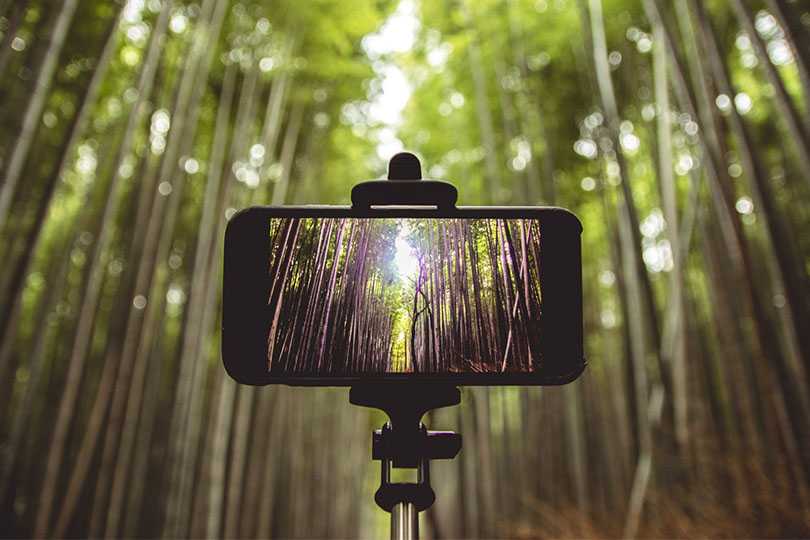 App软件开发设计