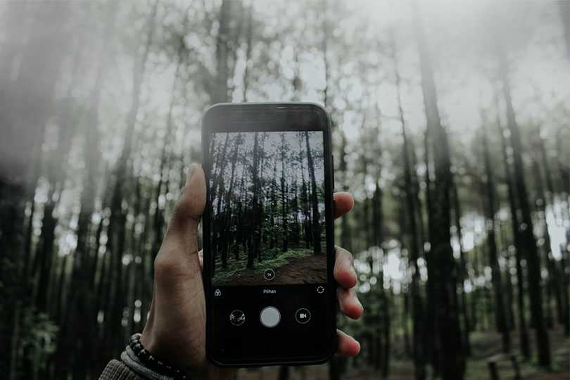 电商app定制开发